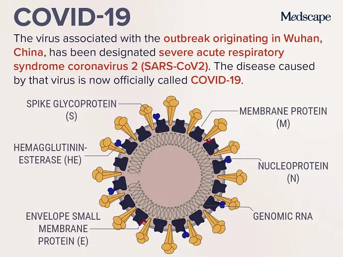 COVID-19 Corona-Virus Structure