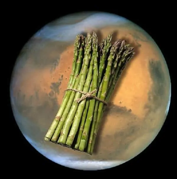 Mars would make an ideal environment for asparagus and turnip growing