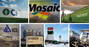 Top Largest Fertilizer Companies in The World