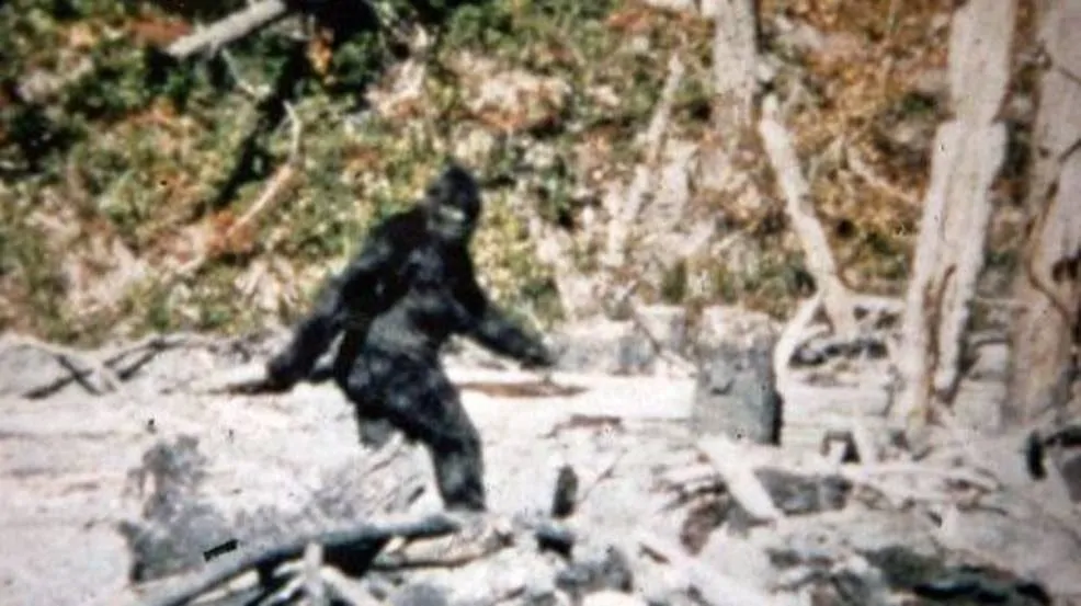 10 Unsolved Mysteries of The World - Sasquatch: The Bigfoot