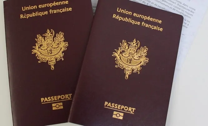 French passport - #6th Most powerful passports in 2020
